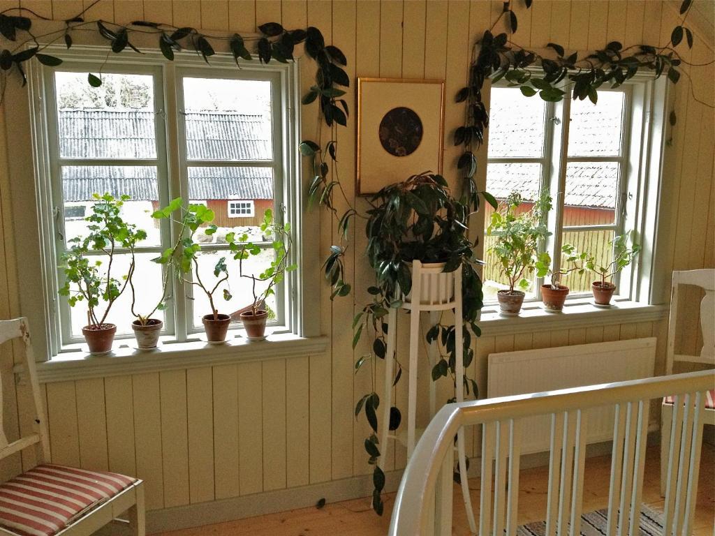 Vildrosor & Hoens Hagstad Exterior foto